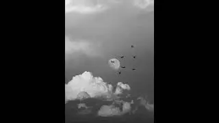 (FREE) ISAIAH RASHAD x SMINO TYPE BEAT 