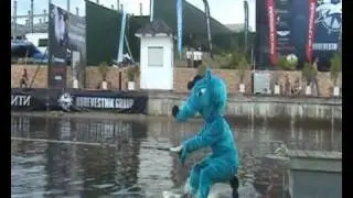 Муравьеды