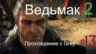Ведьмак 2  Прохождение с Grey   # 13