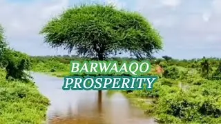 Barwaaqo iyo balliyada oo buuxa || Prosperity and ponds are full || الرخاء والبرك ممتلئة