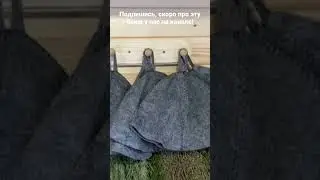 Каркасная баня HYGGE - скоро полный обзор! 