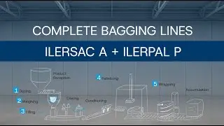 Bagging & palletizing line of sunflower seeds in open mouth bags