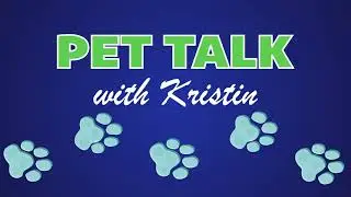 Pet Talk - iGlo Fish