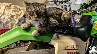 Я НАКОНЕЦ ТО КУПИЛ СЕБЕ МОТАК