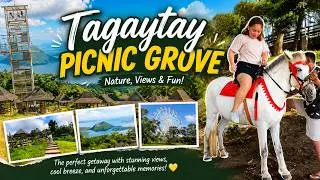 Tagaytay Picnic Grove 2025: A Fresh Look at Nature’s Paradise!