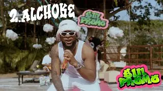 2 - ALCHOKE | EL PEPO | SIN PROMO (VISUALIZER)