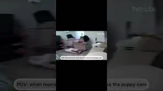 When mom is away at work and catches me and dad