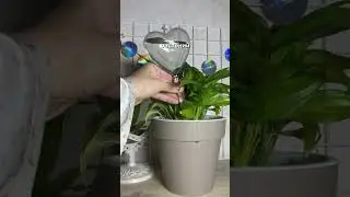 Арт.190929871 мои супер находки 