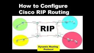 How to configure Cisco Routing protocol RIP | Dynamic Routing | CCNA| CCNP