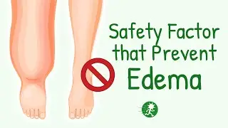 Safety Factors that Prevent Edema | What Prevents Edema in Physiological Condition