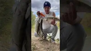 Ууууф оторвался от души 