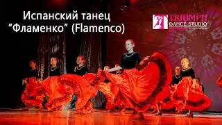 Испанский шикарный танец Фламенко (Flamenco) 💃💃💃