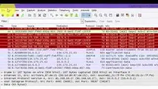 Module 1: What is Wireshark?