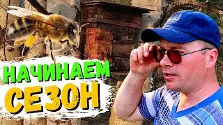 Начинаем расставлять ЛОВУШКИ НА ПЧЁЛ. 2021 #42