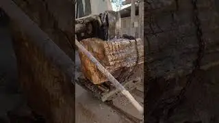 #PetrifiedWood #Log #Sawmill #woodworking #wood #stonework #liveedge