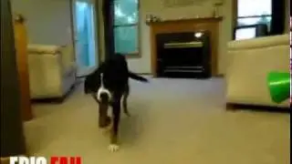 Epic fail смотреть до конца.mp4