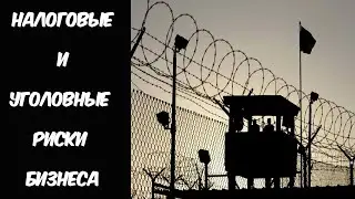 Налоговые и уголовные риски бизнеса - сухие факты и статистика.