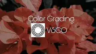 Edit penilaian warna bunga depan halaman rumah