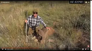 Hunting for sheep in the United States. Mountain hunting