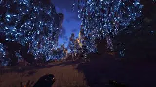 Night At Asgard