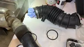 Hyundai Palisade Hose Ring