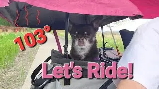 103° Fat Tad Recumbent Trike Ride