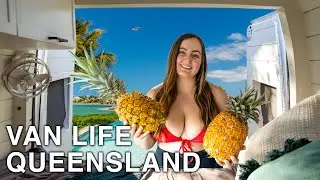 VAN LIFE QUEENSLAND (Bundaberg, Hervey Bay, Rockhampton & More)