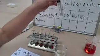 AS Bio 1.1/4 How to make a Dilution of a Plant Extract