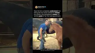 Why good farriers make great horse trainers