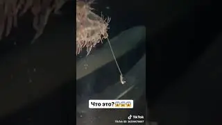 Голодный