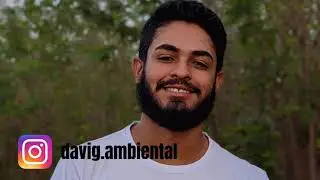Aspectos Ambientais e Impactos Ambientais, diferença entre eles