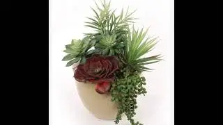 6 Artificial Succulent Set