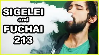 Sigelei/Fuchai 213 Box Mod Review! | Vaporleaf