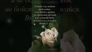 Доброй ночи!Христианское пожелание!