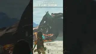 The Gleeok FINALLY Dies!