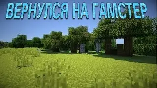 ВЕРНУЛСЯ НА ГАМСТЕР(Minecraft server)