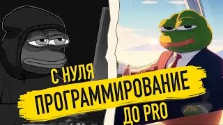 My path from ZERO to PROGRAMMER - the basic principles