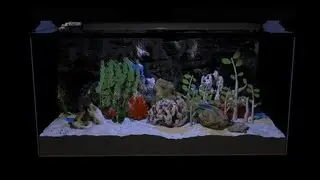 ICT313 Coral Simulation by NybbleX2 (With voice-over)