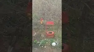 Майский снегопад.