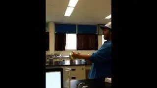 There's nothing like a good nut