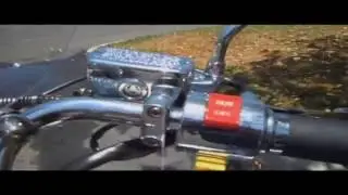 BMS 150cc Palazzo