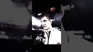 Коллекционер💫