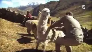 Un lama antisémite s'en prend à Arthur