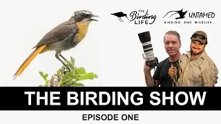 The Birding Show - Episode 1