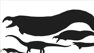Permian | size comparison
