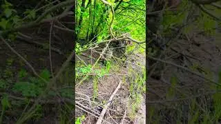Щука на жерлицу из трубы