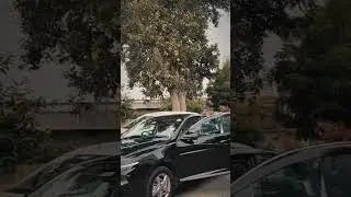 संघर्ष ही जीवन है। #viralvideo #motivational #success #trending #car #nature #vlog #video #tutorial