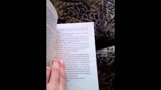 Assassin's creed renaissance book view