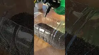 aquatic grass fish tank small 3