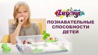 познавательные способности детей